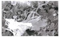 IB-Zauner Asbest Chrysotil